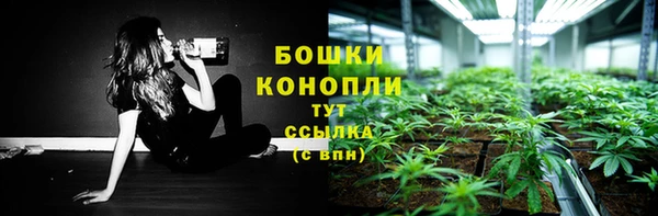 соль ск Гусь-Хрустальный