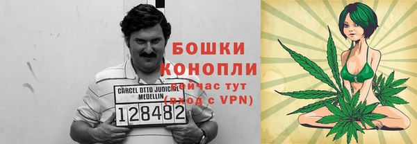 соль ск Гусь-Хрустальный