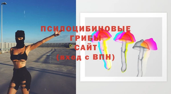 соль ск Гусь-Хрустальный