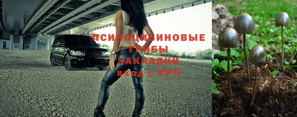 крисы Гусев