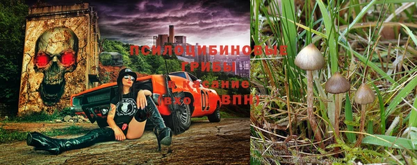 кристаллы Гусиноозёрск