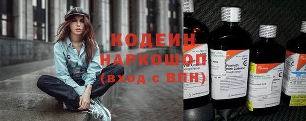 крисы Гусев