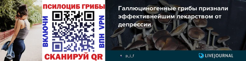 Псилоцибиновые грибы Cubensis Осташков